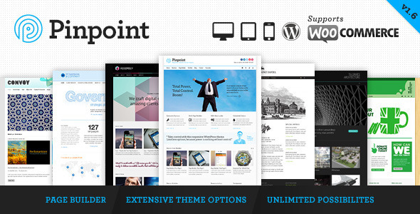  Pinpoint Responsive Multipurpose WordPress Theme