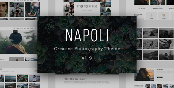  Napoli - Simple photo exhibition website template Wordpress template