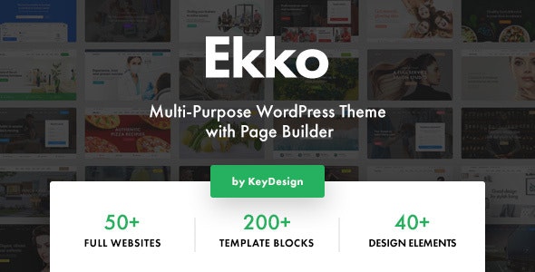  Ekko - WordPress theme of multi industry visual editing website